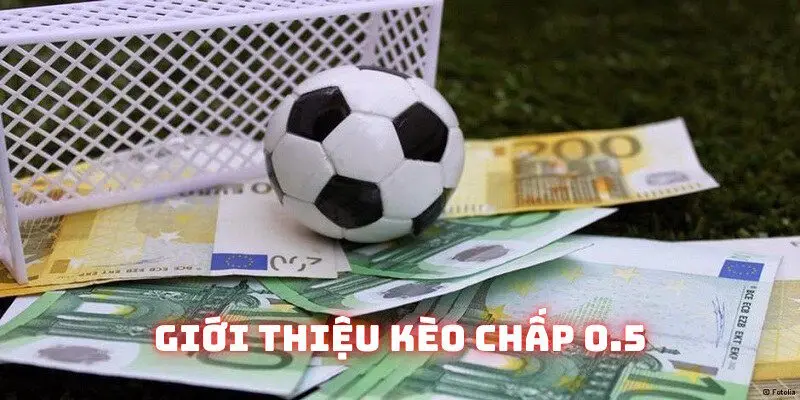 Thông tin giải thích kèo chấp 0.5